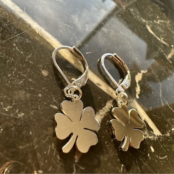 GOOD LUCK ♡ SILVER Stainless Steel Earrings - Picture 5 of 6